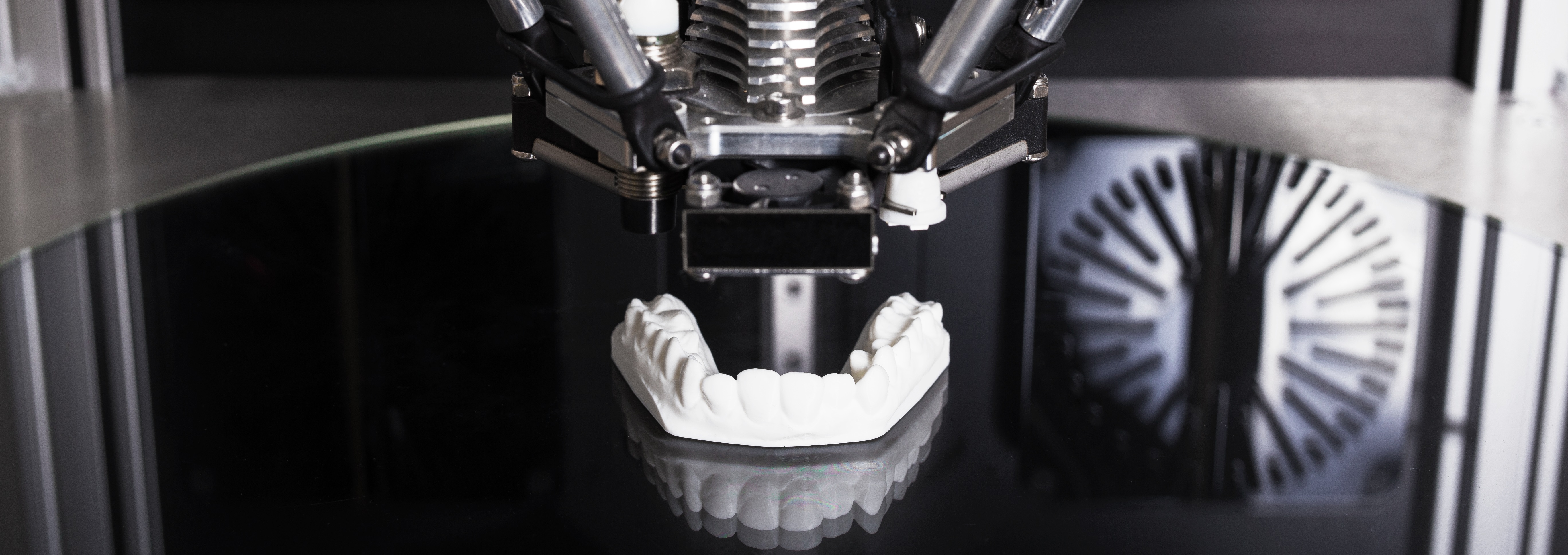 shutterstock_538147468